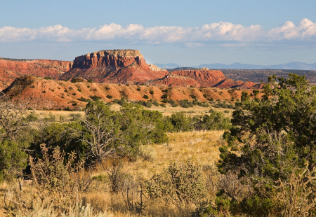 New Mexico landscape